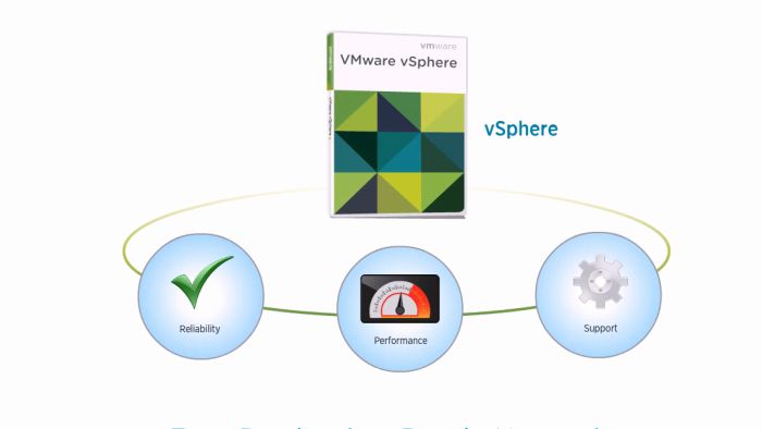 VMware VSphere Hypervisor (ESXi)