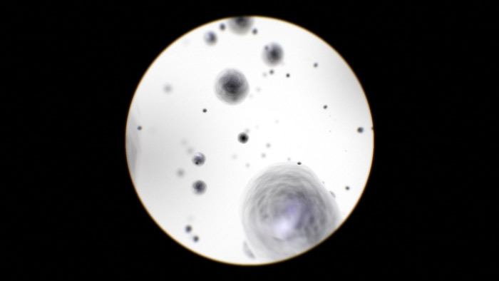 social microcosm definition social microcosm definition
